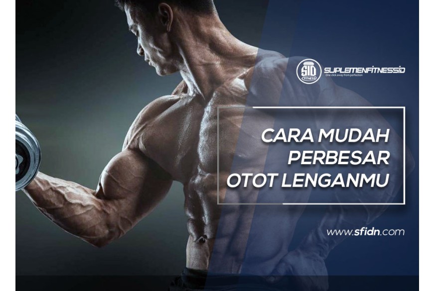 sfidn - Cara Mudah Perbesar Otot Lengan