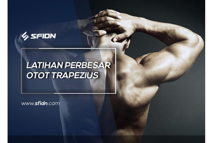 sfidn - Aneka Latihan Perbesar Otot Trapezius