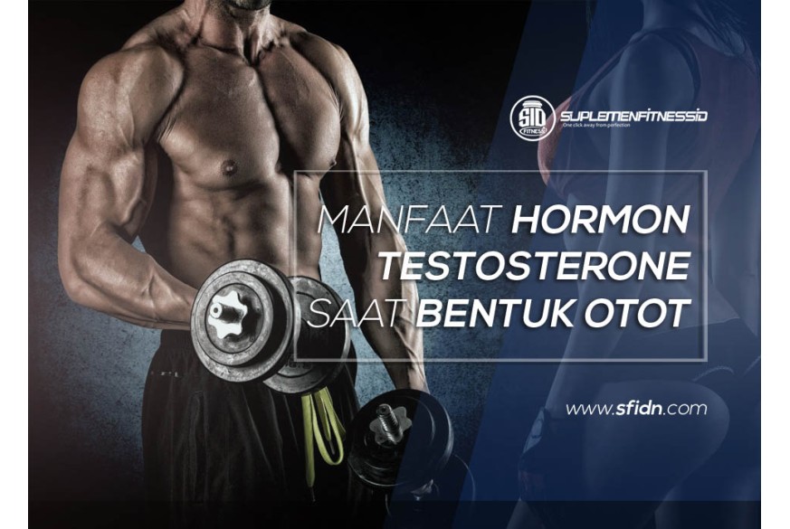 sfidn - Manfaat Hormon Testosteron saat Bentuk Otot