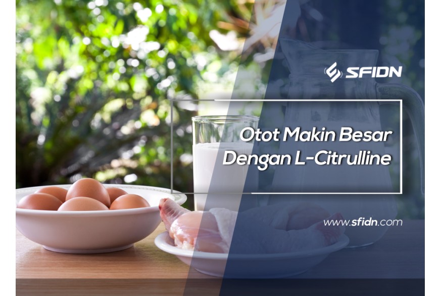 sfidn - Otot Makin Besar Dengan L-Citrulline