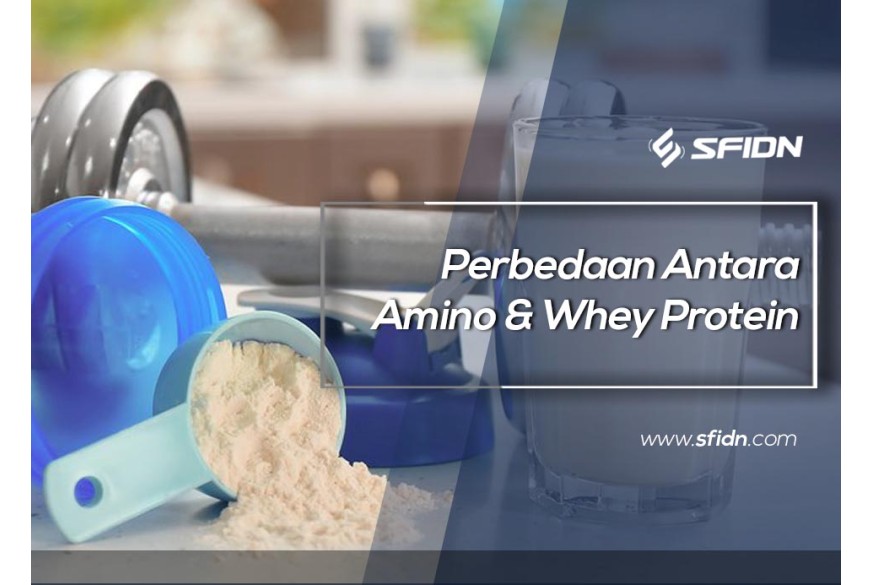 sfidn - Perbedaan antara Amino dan Whey Protein
