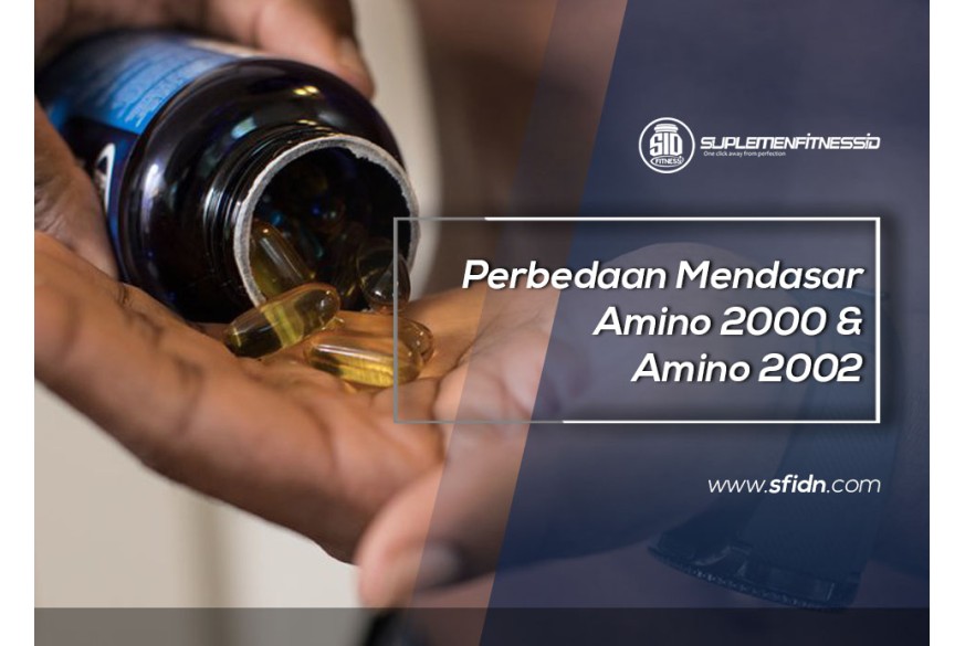 sfidn - Perbedaan Mendasar Amino 2000 & Amino 2002