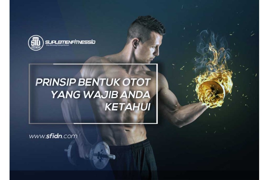 sfidn - Prinsip Membentuk Otot yang Wajib Diketahui