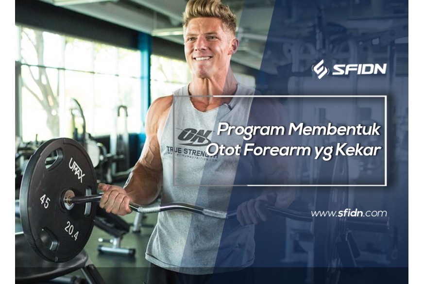 sfidn - Program Membentuk Otot Forearm yg Kekar