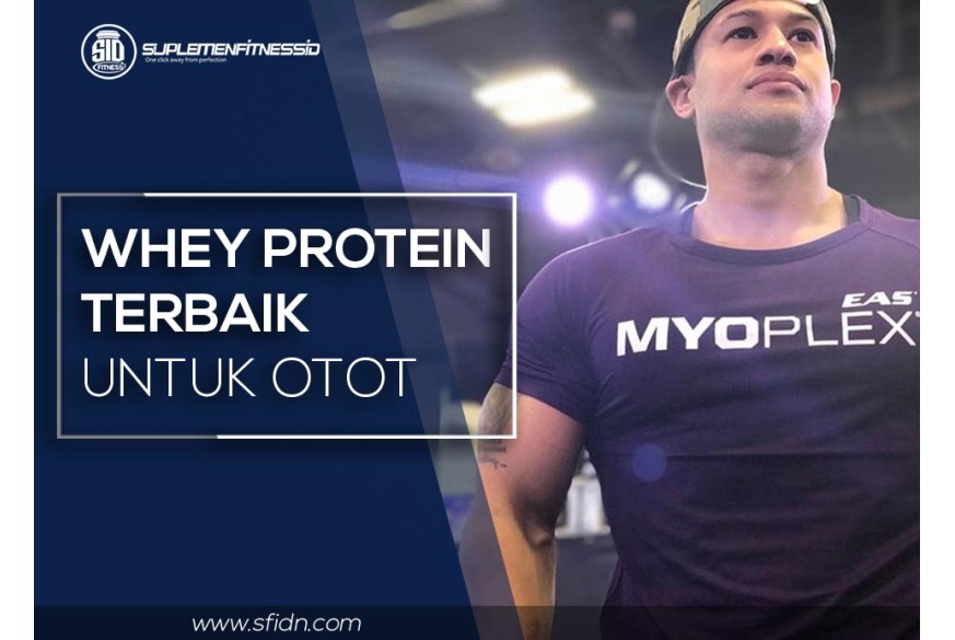 sfidn - Whey Protein Terbaik untuk membentuk otot