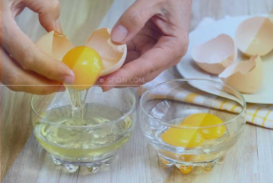 sfidn - Fakta Menarik tentang Putih Kuning Telur