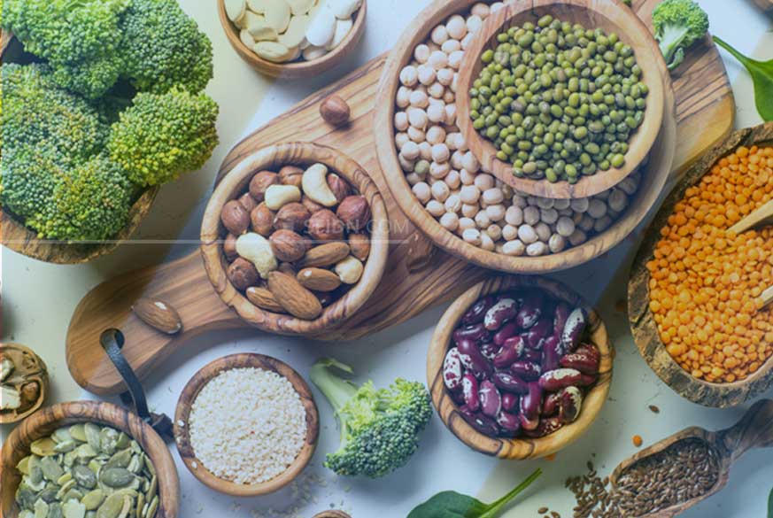 sfidn - Tentang Protein dan Fungsinya