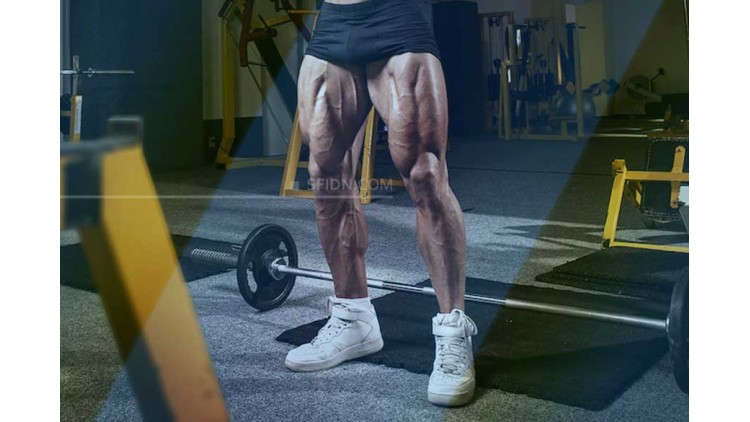 sfidn - Latihan Superset Untuk Membentuk Otot Kaki