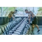 Pola Latihan Superset untuk Otot Triceps dan Biceps