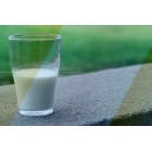 Benarkah Protein dalam Susu Bermanfaat untuk Pertumbuhan Otot?