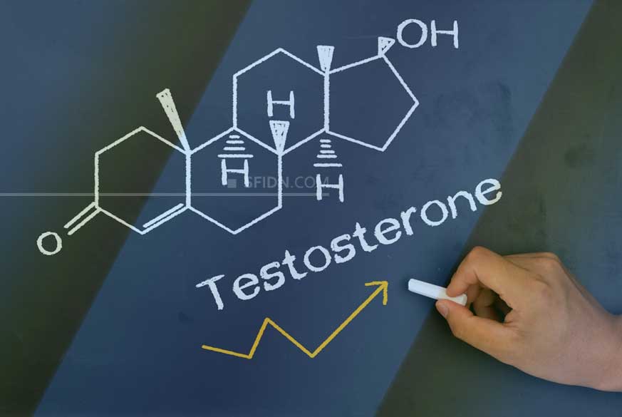 sfidn - 8 Cara Meningkatkan Hormon Testosteron Secara Alami