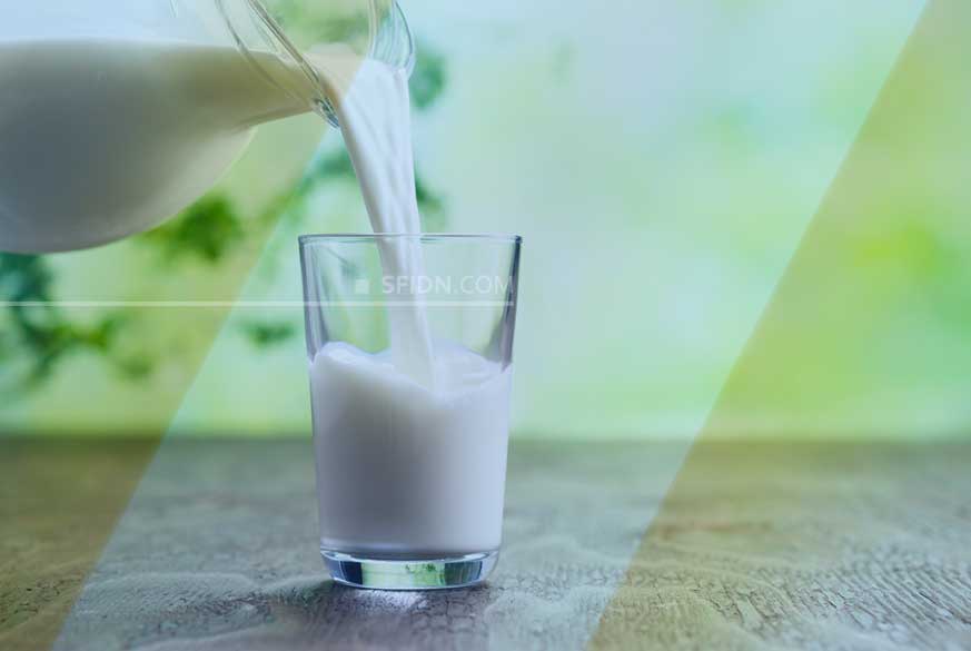 sfidn - Peran Protein Casein Saat Sedang Berpuasa