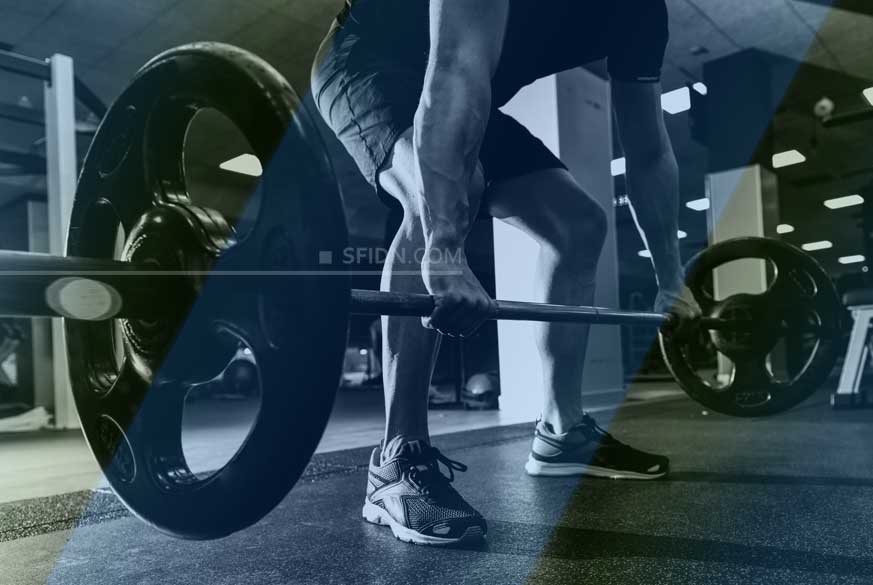 sfidn - Program Latihan Kaki untuk Menargetkan Otot Quad dan Hamstring