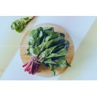 Apa Itu Swiss Chard? Ketahui Manfaat dan Cara Mengolahnya