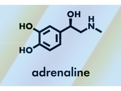 Fakta Menarik Hormon Adrenalin yang Perlu Anda Ketahui