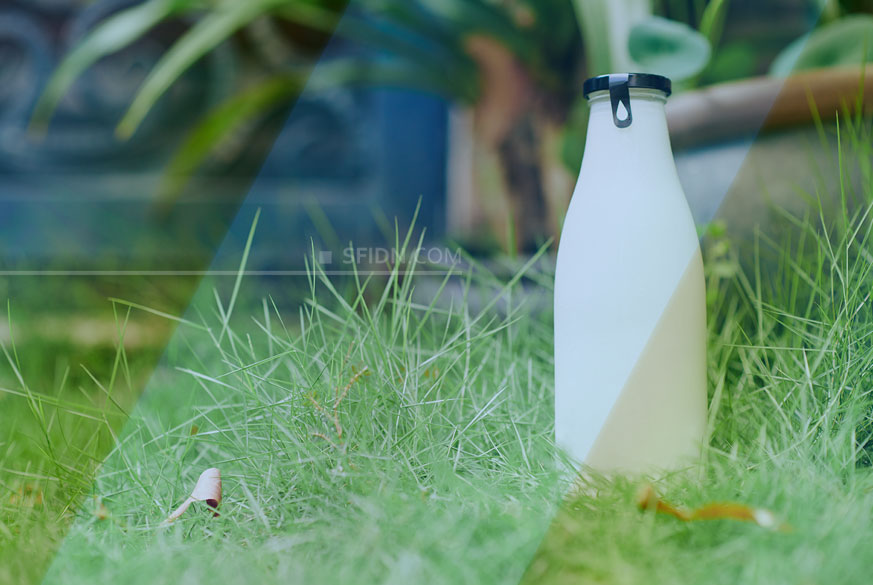 sfidn - Susu Grass-Fed 101: Nutrisi, Manfaat, dan Keberlanjutannya