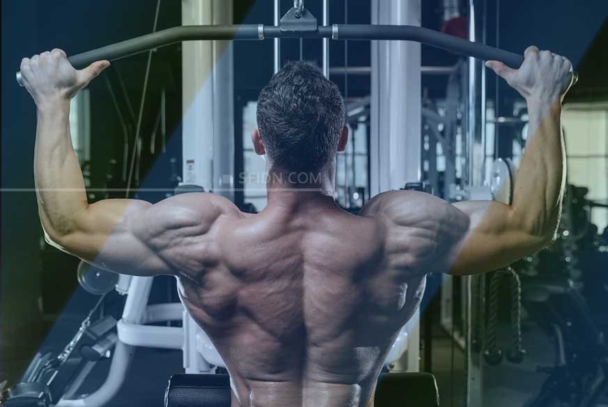 Latihan Terbaik Perkuat Otot Punggung Sfidn Science From Indonesia Articles