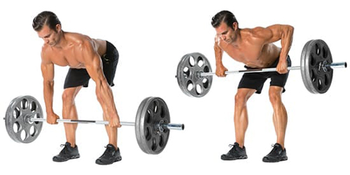 sfidn-barbell-over-rows