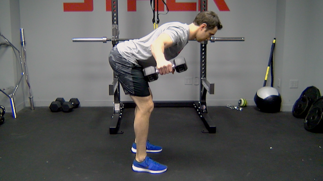 sfidn-bent-over-lateral-raise