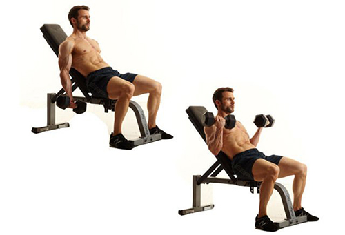 sfidn-incline-dumbbell-curl