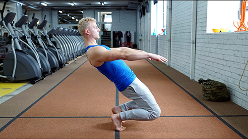 sfidn-sissy-squat