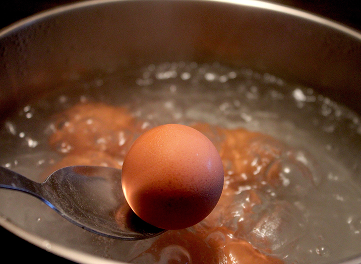 sfidn-telur-rebus
