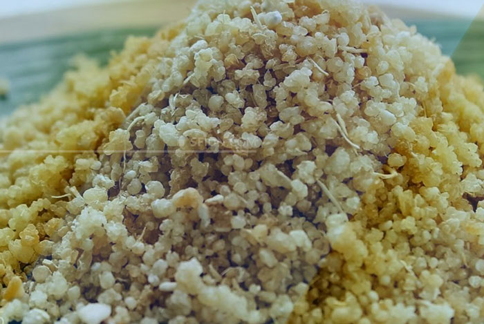 sfidn - 8 Manfaat Beras Singkong sebagai Makanan Pengganti Nasi