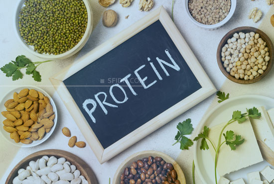 sfidn - Apa Itu Protein dan Fungsinya Bagi Tubuh Manusia?