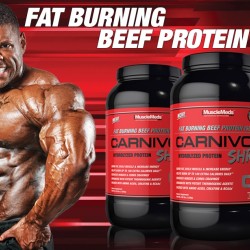 Carnivor Beef Protein  Builds Muscle