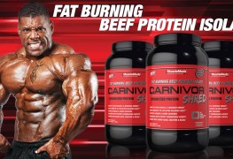 Carnivor Beef Protein  Builds Muscle