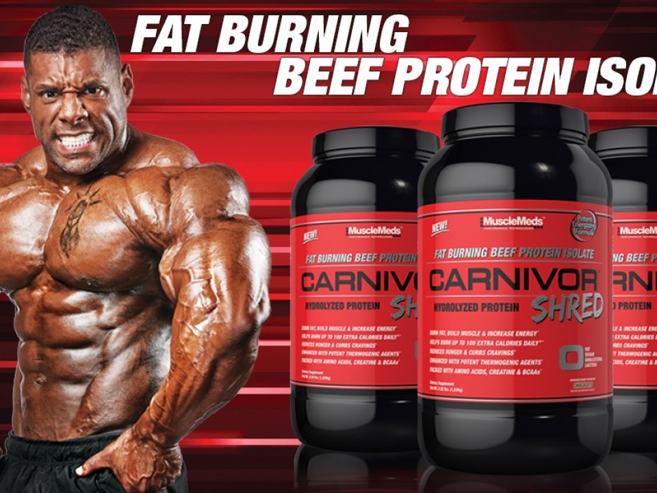 Carnivor Beef Protein  Builds Muscle