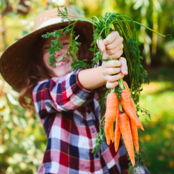 5 Ecologically Friendly Life Hacks