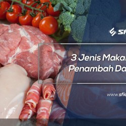 3 Jenis Makanan Penambah Darah