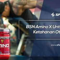 BSN Amino X Untuk Ketahanan Otot