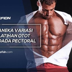 Aneka Variasi Latihan Otot Dada Pectoral