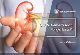 Apa itu Pemeriksaan Fungsi Ginjal?