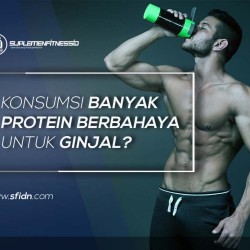 Konsumsi Protein dan Kesehatan Ginjal