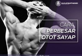 Tips lengkap perbesar otot sayap