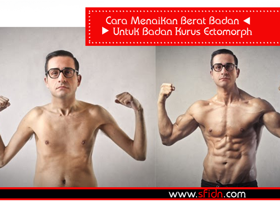 Cara Menaikan Berat Badan Untuk Badan Kurus Ectomorph