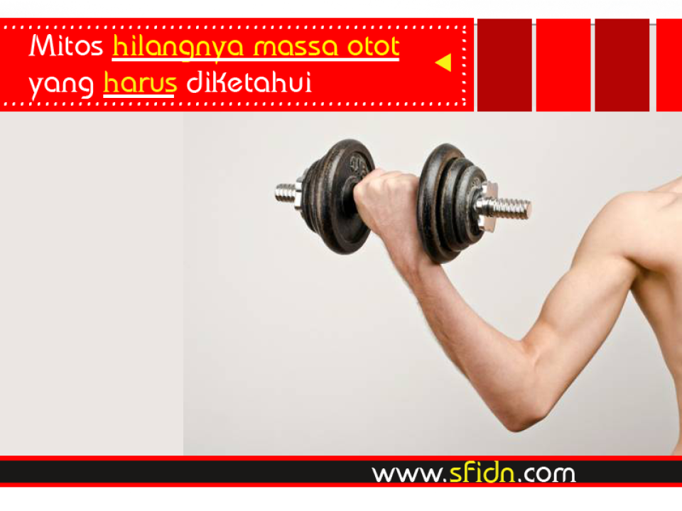 Mitos dan Fakta hilangnya massa otot yang harus diketahui