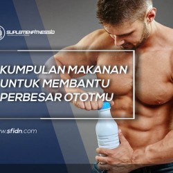 Kumpulan Makanan untuk Perbesar Otot