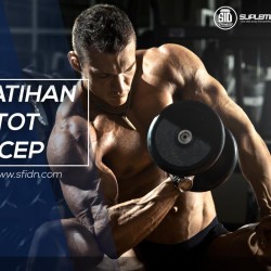 Latihan otot bicep