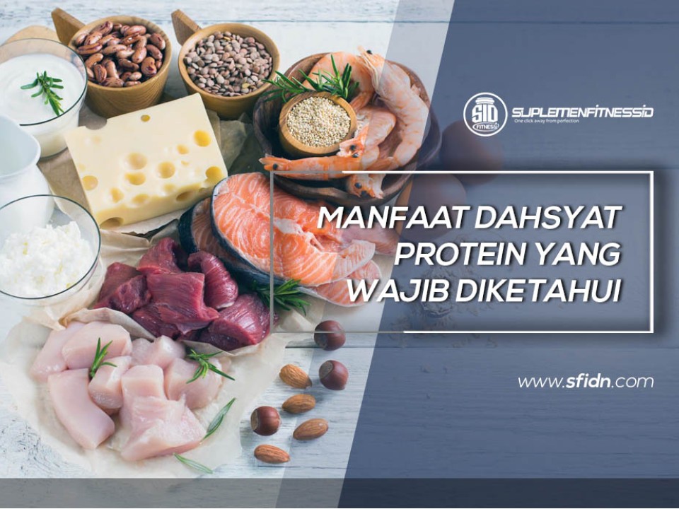 Manfaat Dahsyat Protein yang Wajib Diketahui