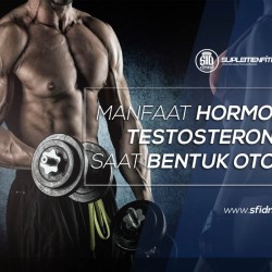 Manfaat Hormon Testosteron saat Bentuk Otot