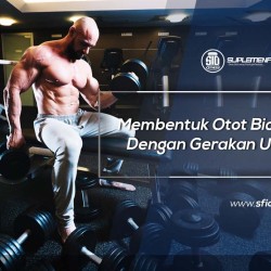 Membentuk Otot Bicep Dengan Gerakan Unik