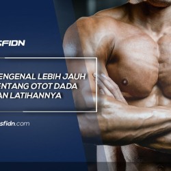 Mengenal Otot Dada dan Latihannya