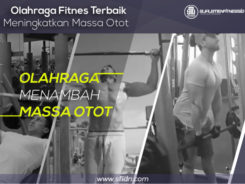 Olahraga Fitnes Terbaik Meningkatkan Massa Otot