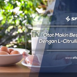 Otot Makin Besar Dengan L-Citrulline
