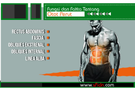 Fungsi dan Fakta Tentang Otot Perut