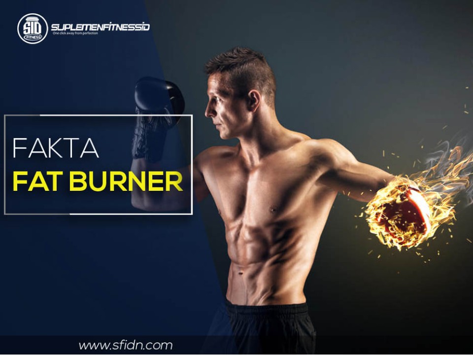 fat burn adalah)